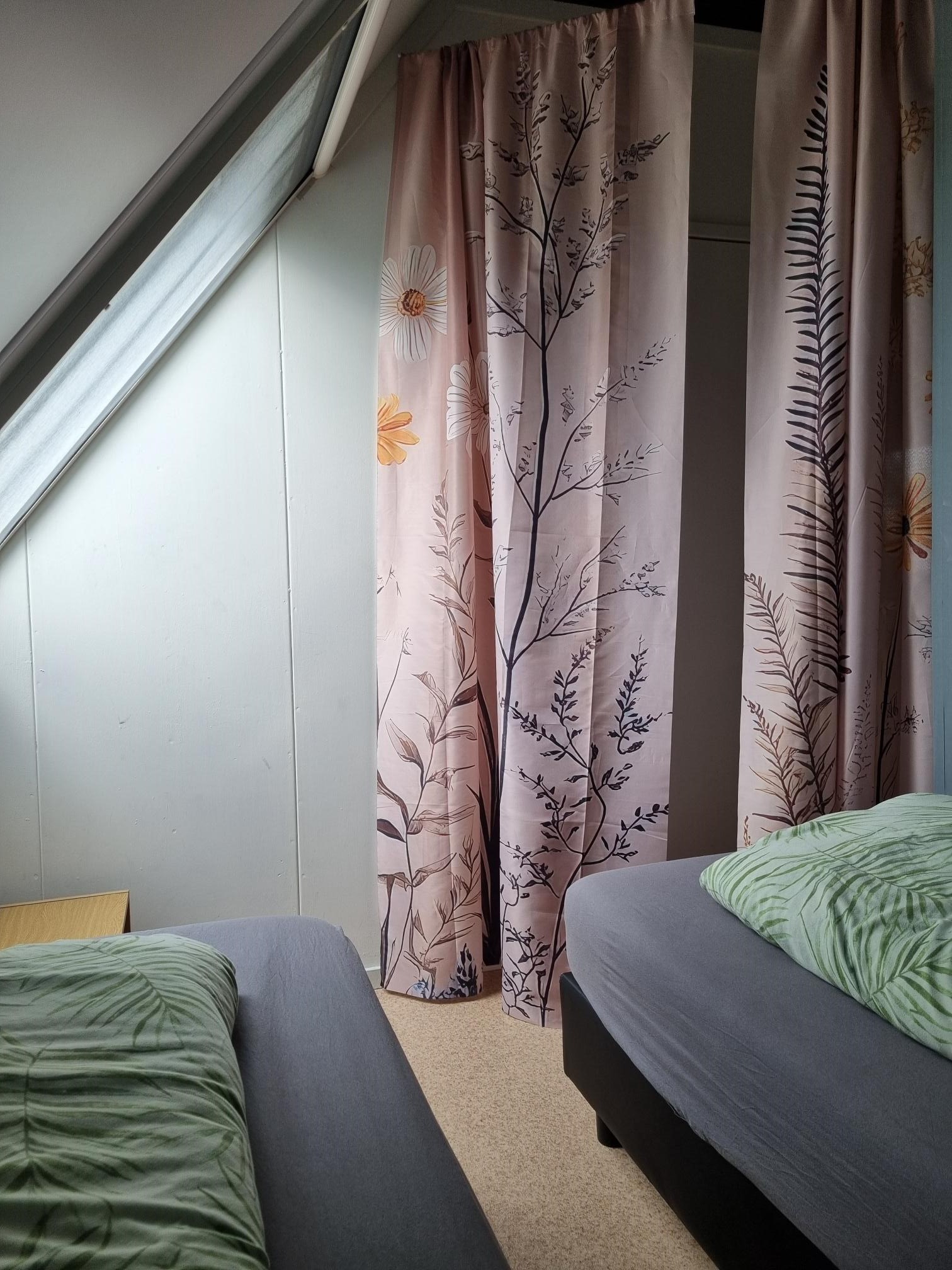 Vakantie huis woning stuifzand Drenthe