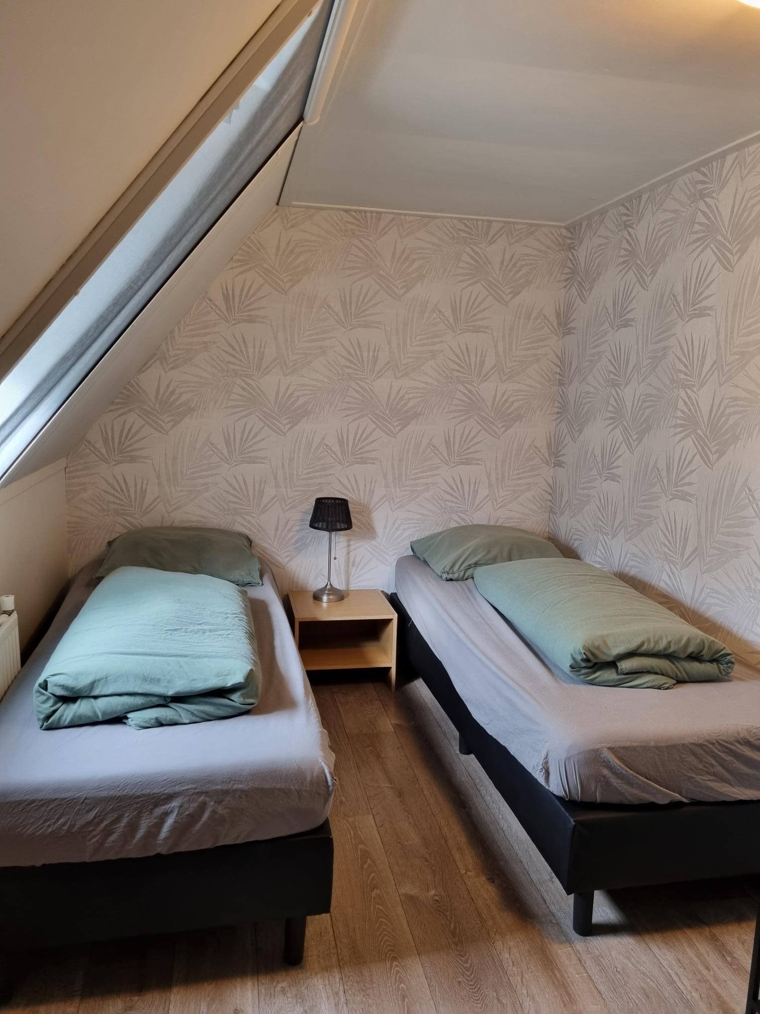 Vakantie huis woning stuifzand Drenthe